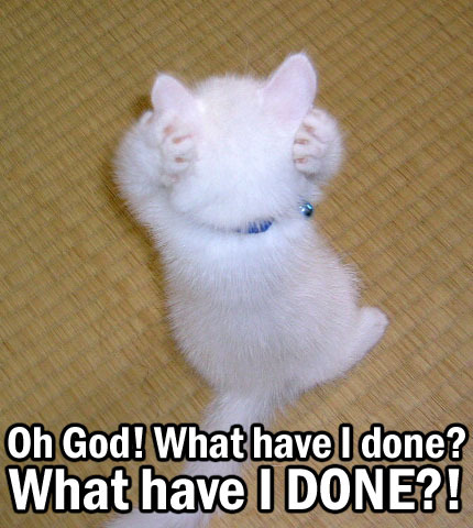 ilovemeow.com
