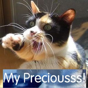 ilovemeow.com