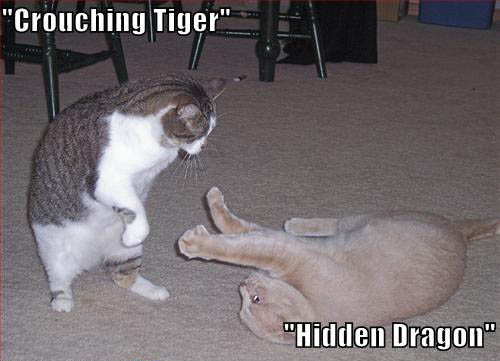 128293384075870874crouchingtiger.jpg