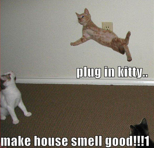 ilovemeow.com