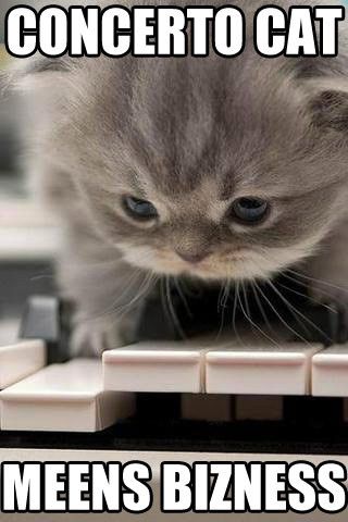 ilovemeow.com