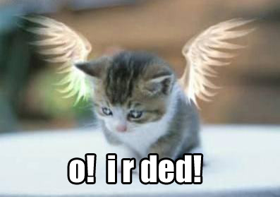 ilovemeow.com