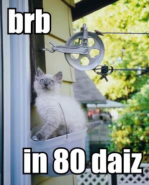 brb-in-80-daiz.jpg