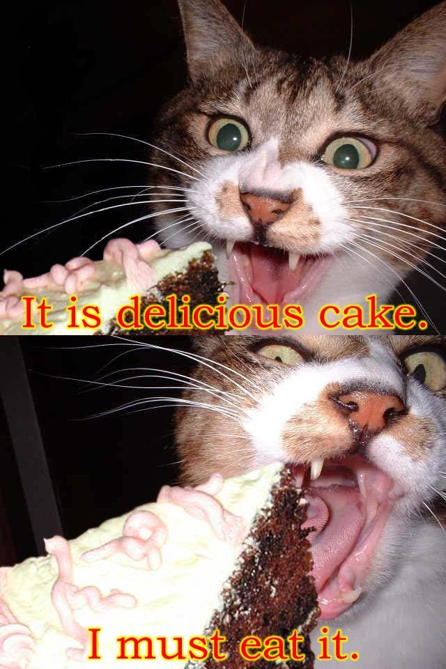 ilovemeow.com