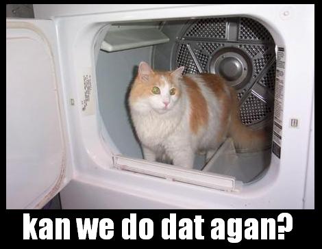 canwedothat.jpg