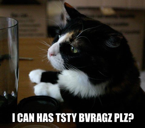 caption1.jpg