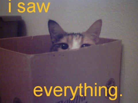 everything.jpg