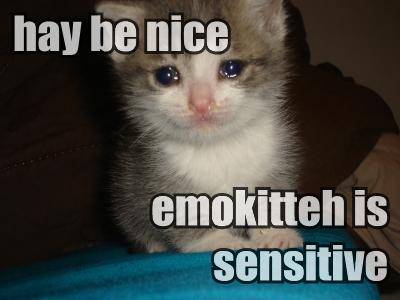 ilovemeow.com