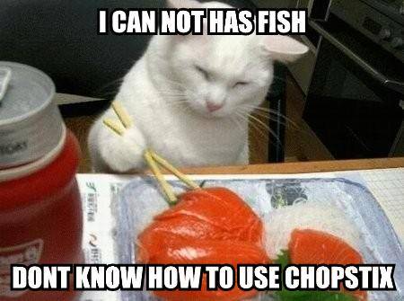 i-can-not-has-fish-dont-know-how-to-use-chopstix.jpg