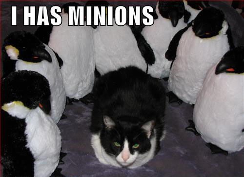 ilovemeow.com