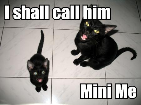 i-shall-call-him-mini-me.jpg