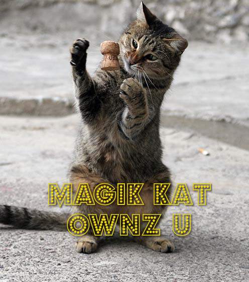 ilovemeow.com