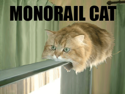monorail_cat_zoom.gif