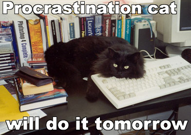 procat.jpg