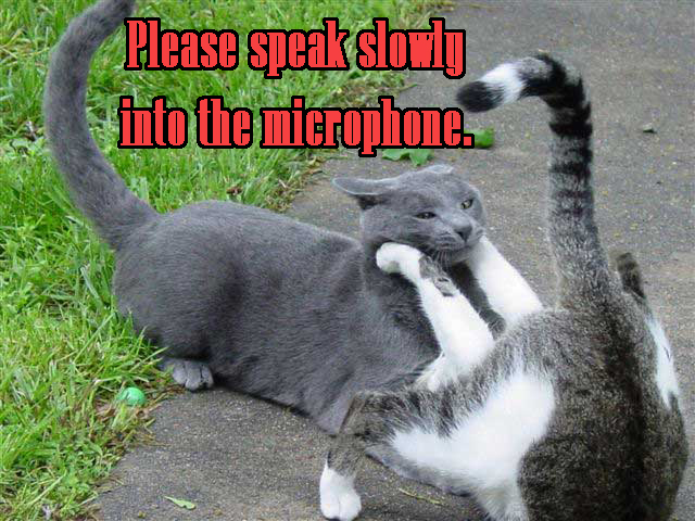 slowmicrophonejm9.jpg
